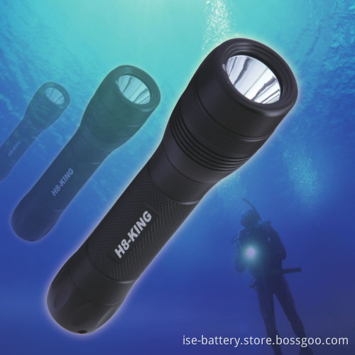 LED Diving Special Bright Flashlight